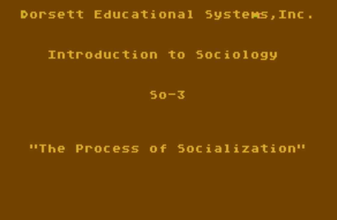 Basic Sociology CX6005/BS04.jpg